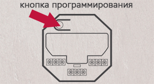 6954ff39c6957936235bd73d9f6ce808.jpg 6954ff39c6957936235bd73d9f6ce808.jpg
