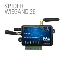 SPIDER WIEGAND 26